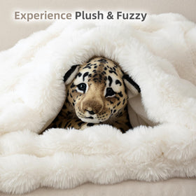 Smoofy luxury gift option ideal for women on special occasions.