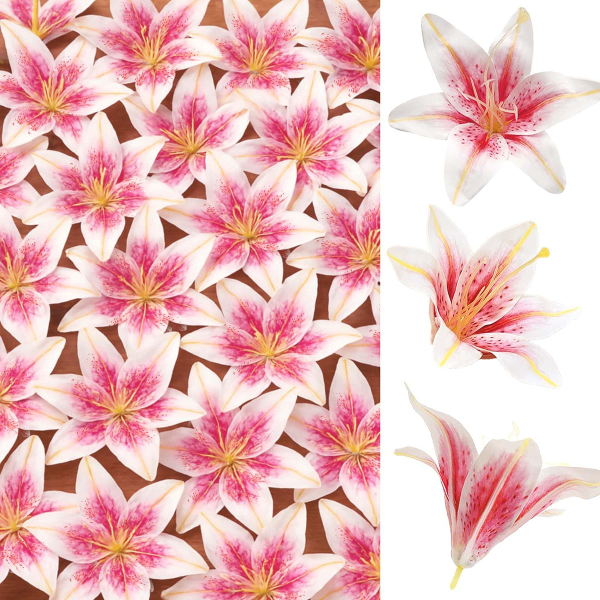 SNAIL GARDEN lily head 5.5 inches with realistic stamens for elegant arrangements.