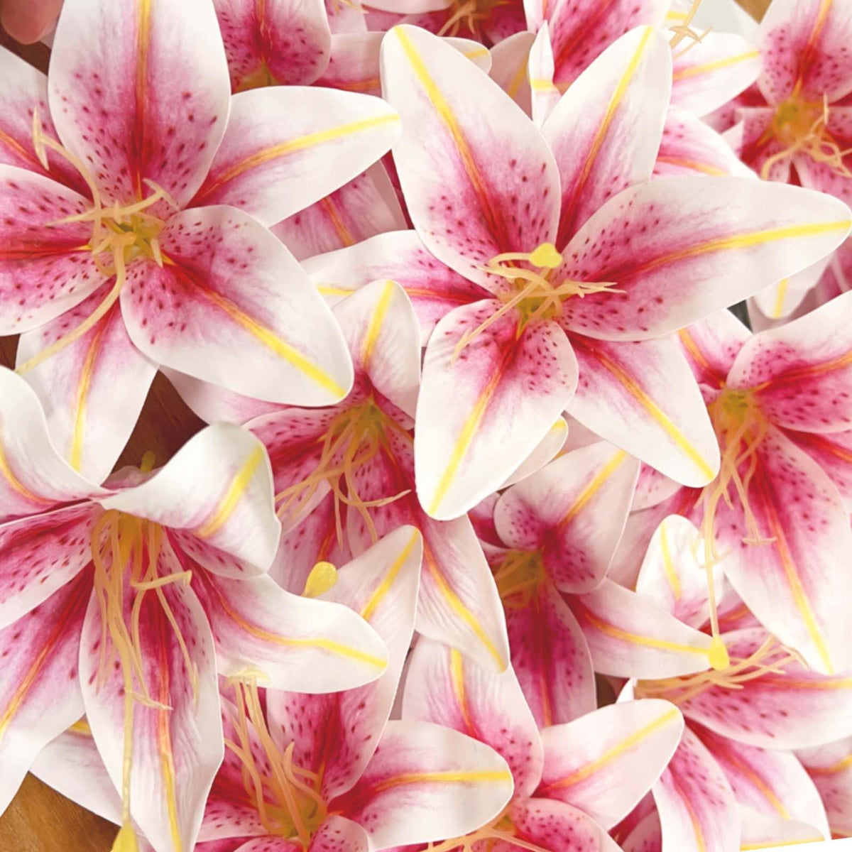 SNAIL GARDEN pink lily heads ideal for wedding centerpieces and decor accents.