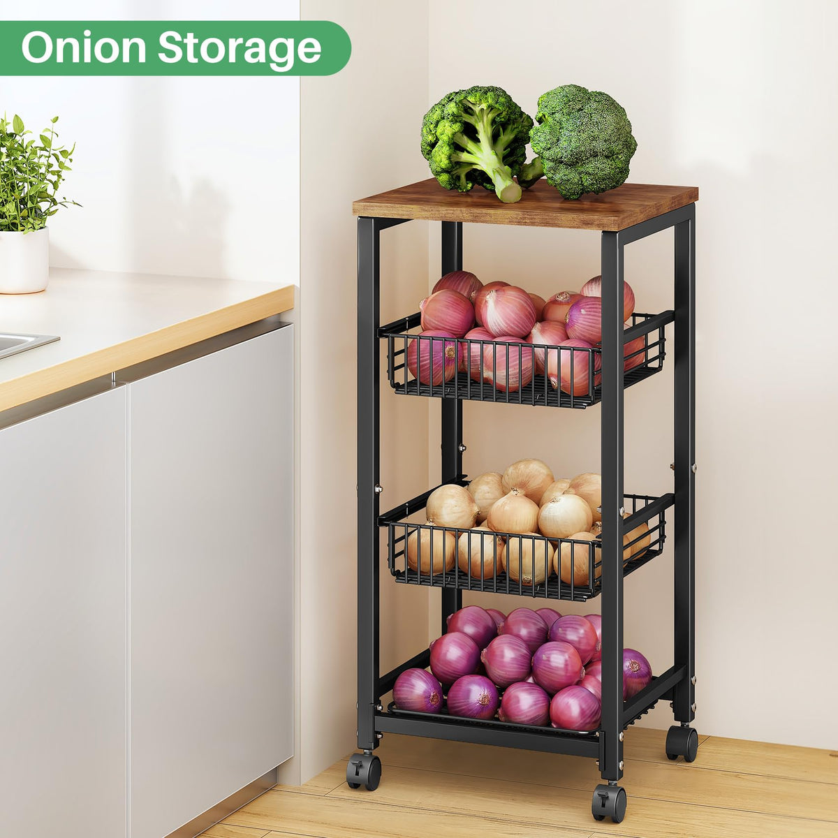 SNTD fruit and vegetable storage keeps produce organized and accessible