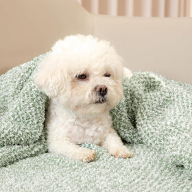 Machine-washable Snuggle Sac blanket with easy care instructions