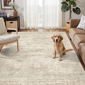 Soalmost 3x5 rug with pet-friendly non-slip backing for safer entryways.