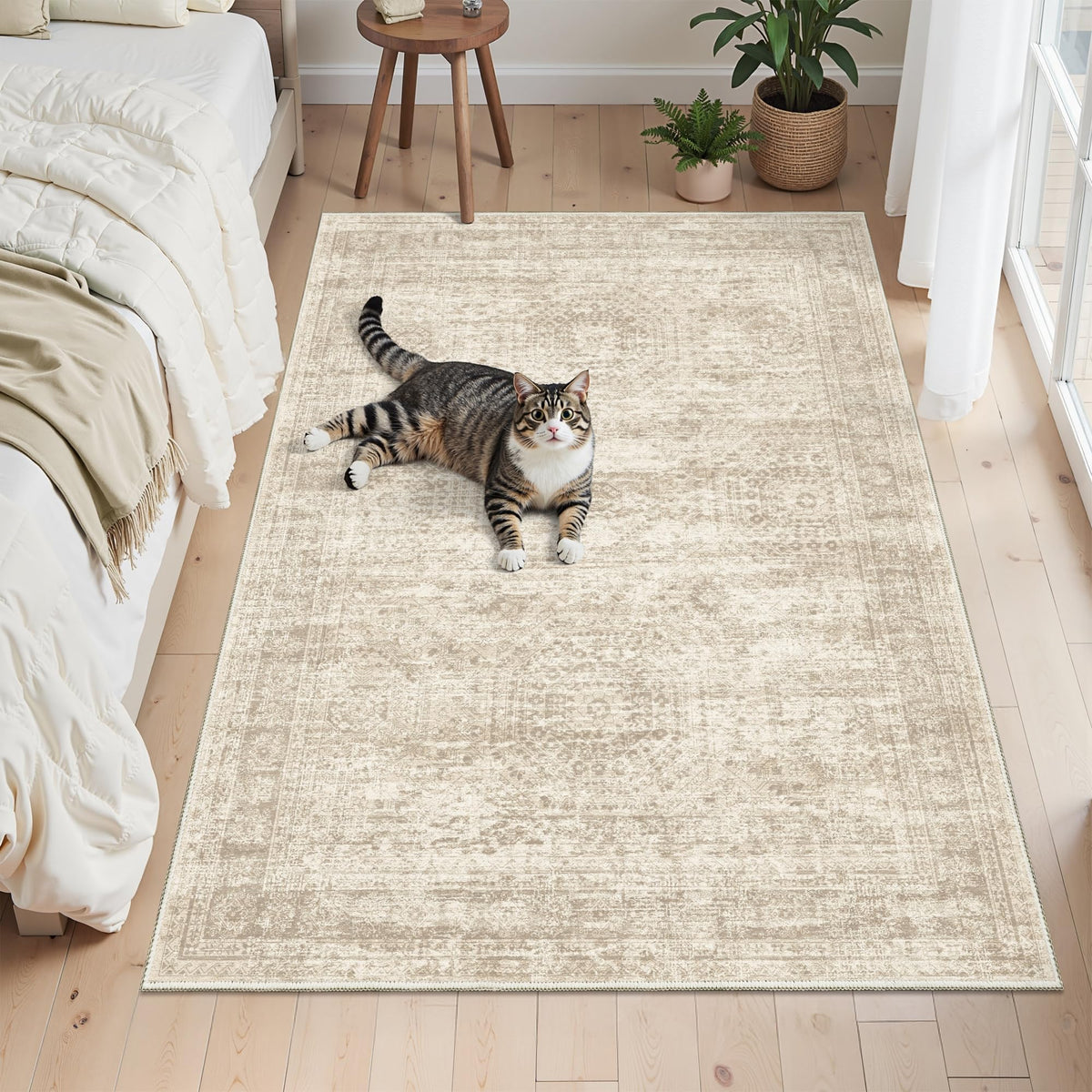 Soalmost 3x5 rug has soft pile for barefoot comfort.