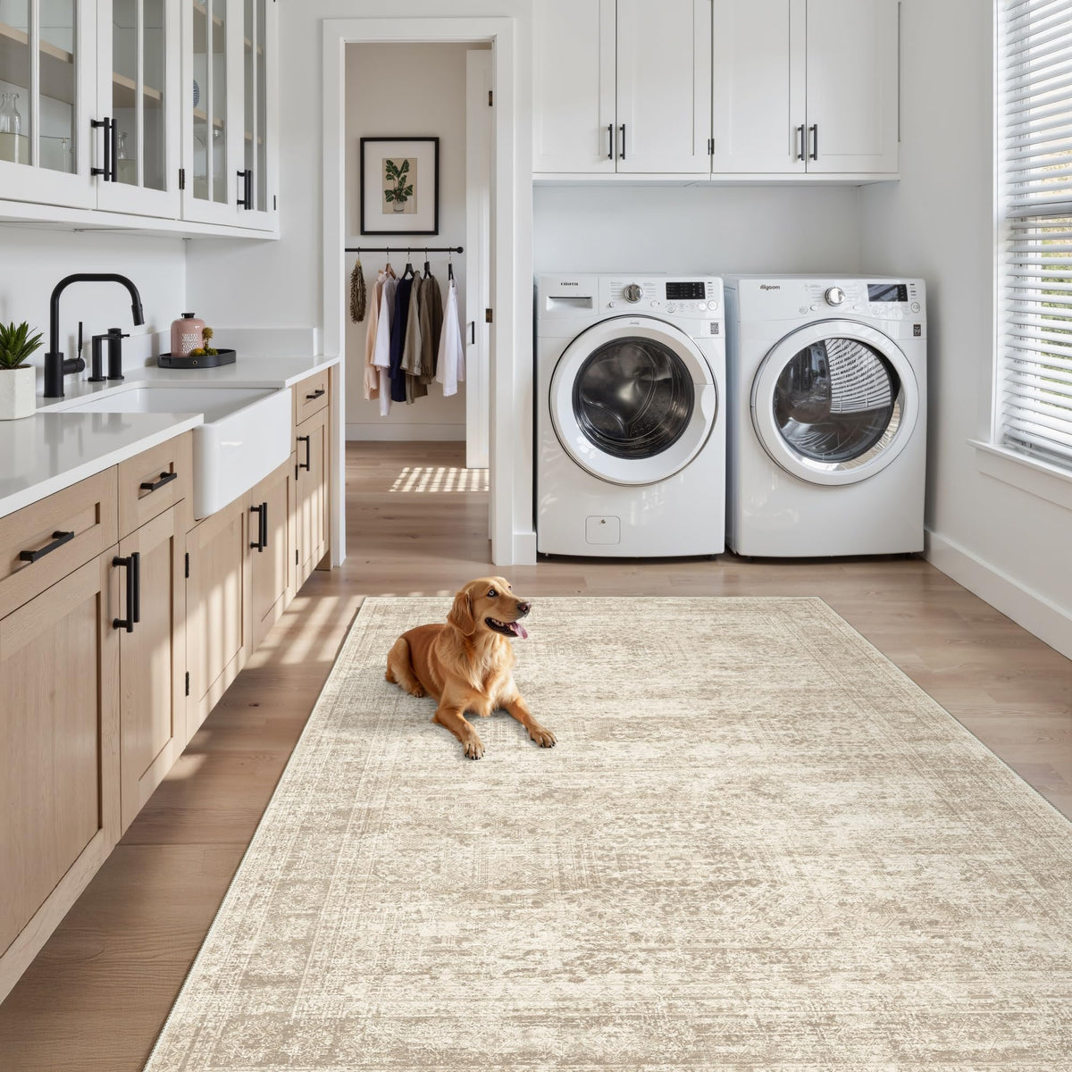 Soalmost 3x5 rug features stain-resistant fibers for busy homes.