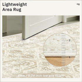 Soalmost living room beige rug creates a warm, cohesive look.