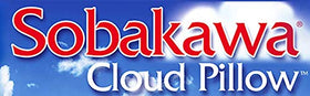 Sobakawa Cloud Pillow in car supports comfortable lower back positioning.