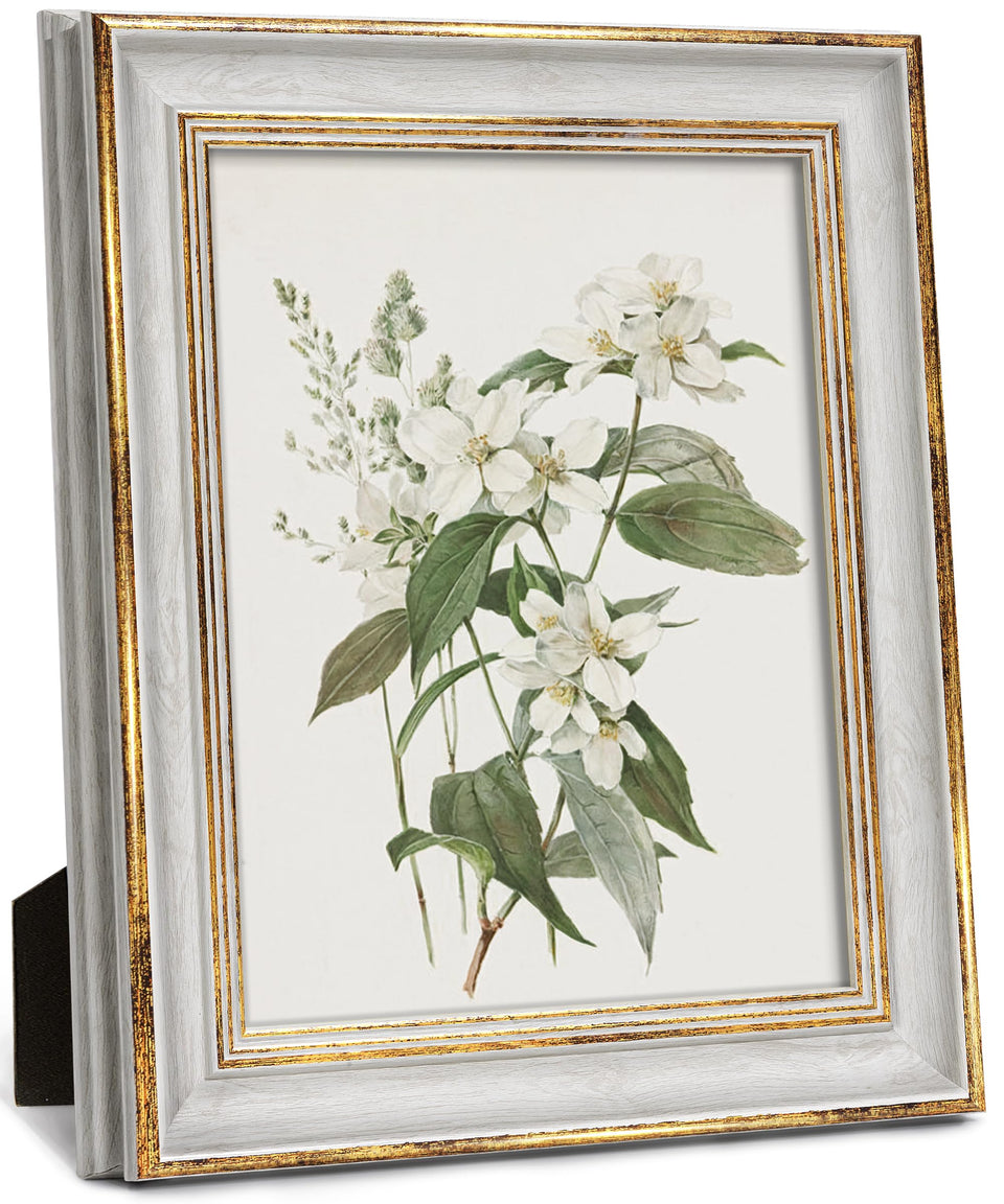 Sonefreiy 8x10 frame front view with white-gold vintage finish for cherished photos.