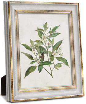 Sonefreiy durable PS frame detail emphasizes long-lasting display quality.