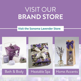 Sonoma Lavender microwave warmth insert demonstrates convenient hot therapy for soothing muscles.