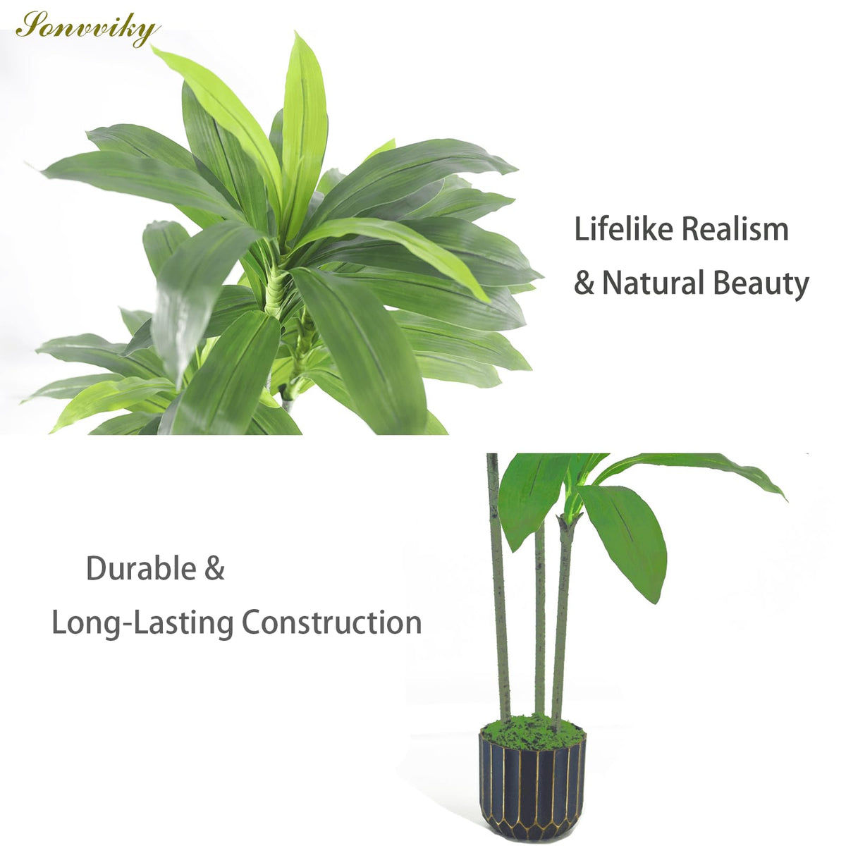 Sonvviky weighted concrete base keeps the Dracaena tree stable.