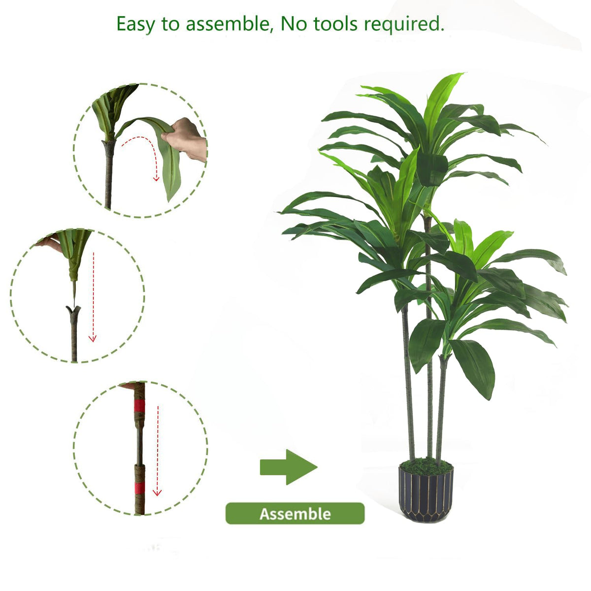 Sonvviky Dracaena tree shown in a living room layout enhances space.