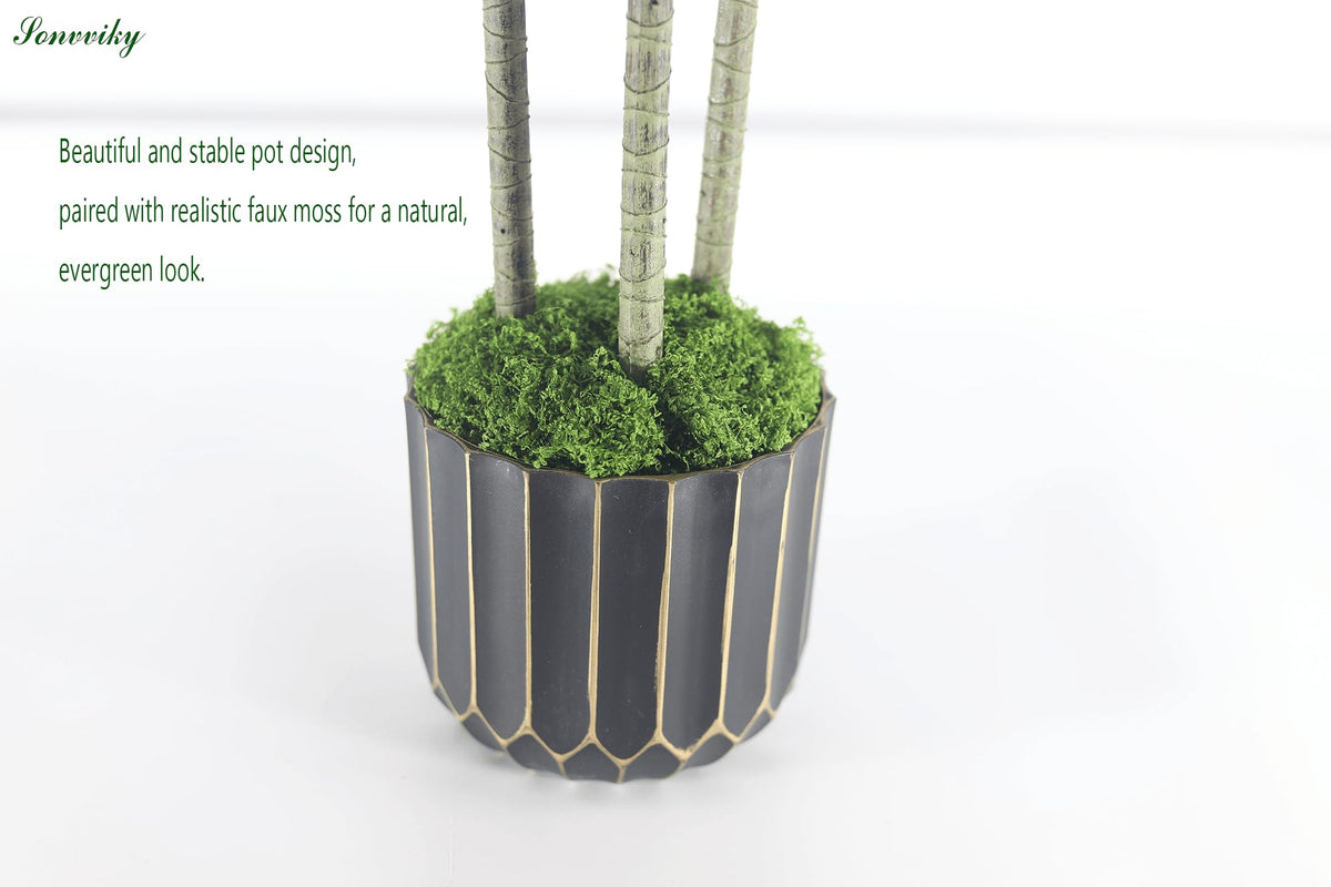 Dracaena tree placed in a planter for instant decor.