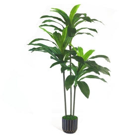 One-minute setup of Sonvviky Dracaena tree without tools.