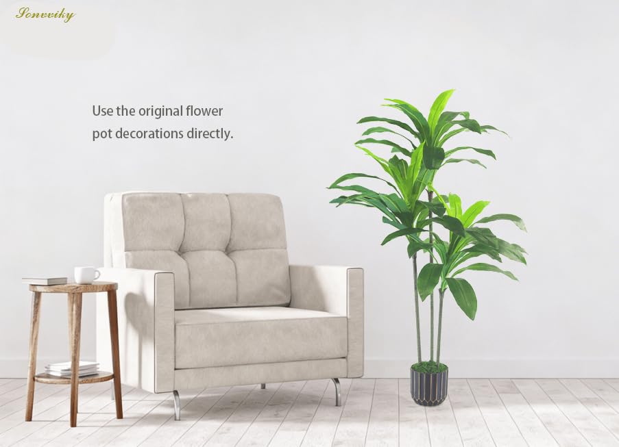 Sonvviky Dracaena trunk and branches form natural silhouette.