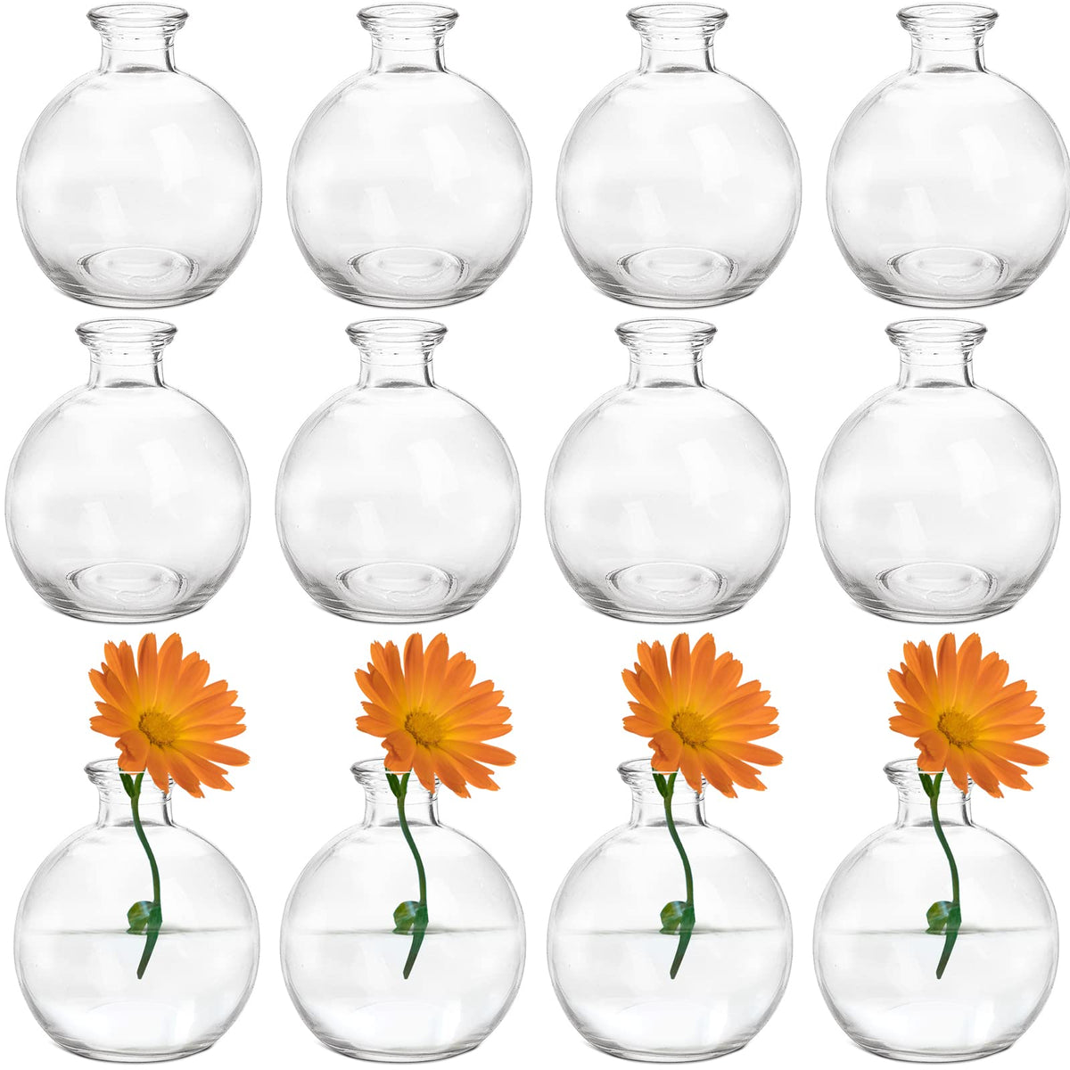 SOUJOY 12-pack small glass bud vase for precise, compact floral displays.