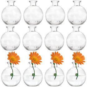 SOUJOY 12-pack small glass bud vase for precise, compact floral displays.