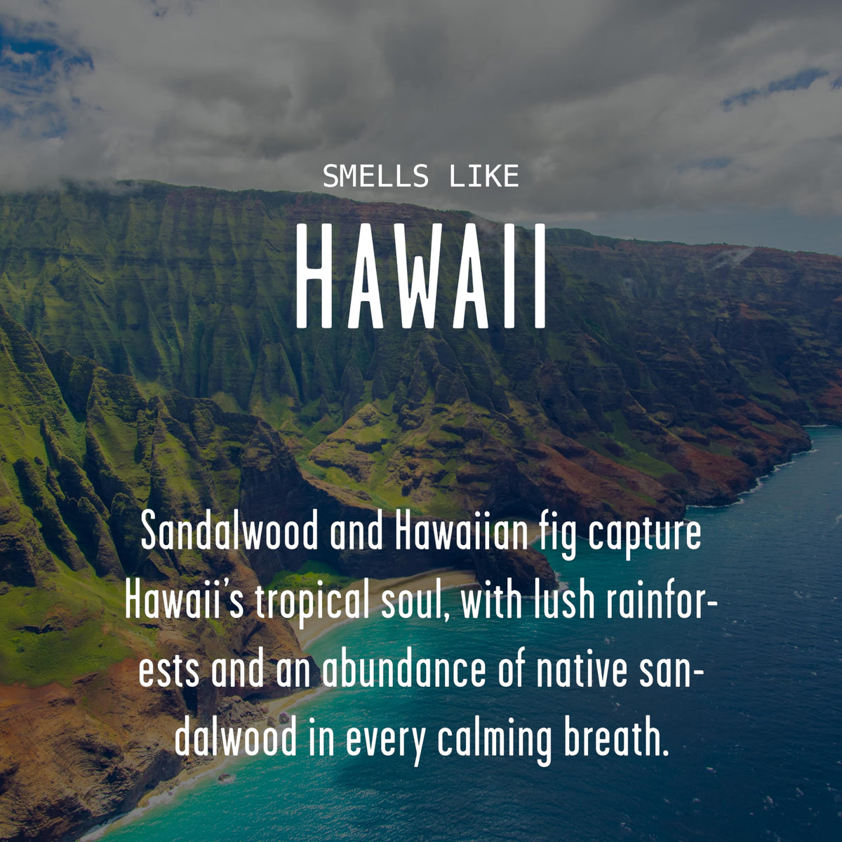 Hawaii candle from Soy and Sass with lush rainforest mood and soft aroma.
