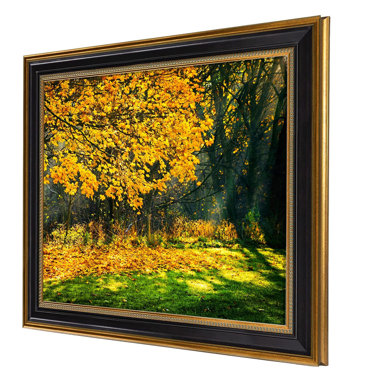 Space Art Deco black frame with ornate gold trim enhances wall décor.
