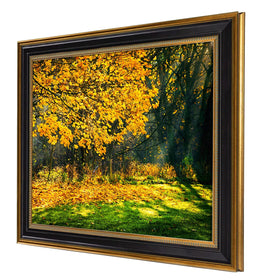 Space Art Deco black frame with ornate gold trim enhances wall décor.