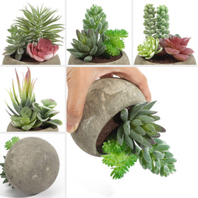 SPEPLA realistic potted succulents stay vibrant with no watering.