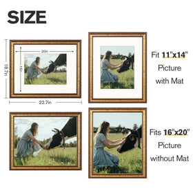 Splinterix gold frame with non glare plexiglass protects photos clearly