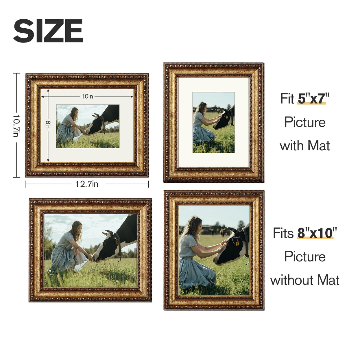 Splinterix vintage frame mounted on wall showcases ornate bronze finish for classic interiors.
