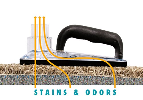 StainOut System 71-001 sub-surface extraction tool in use during professional cleaning