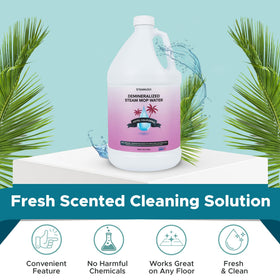 Steam & Go demineralized water steam-cleaner setup for efficient cleaning