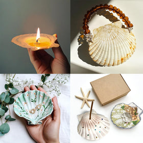 Versatile shells for DIY home decor, crafts, and seasonal ornaments.