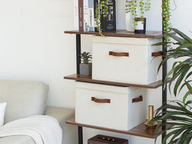 StorageWorks bin holding books and DVDs on a closet shelf