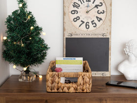 StorageWorks basket ideal for books or snacks on shelves