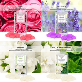 STRN scented wax melts cubes coconut-vanilla bring creamy warmth to evenings