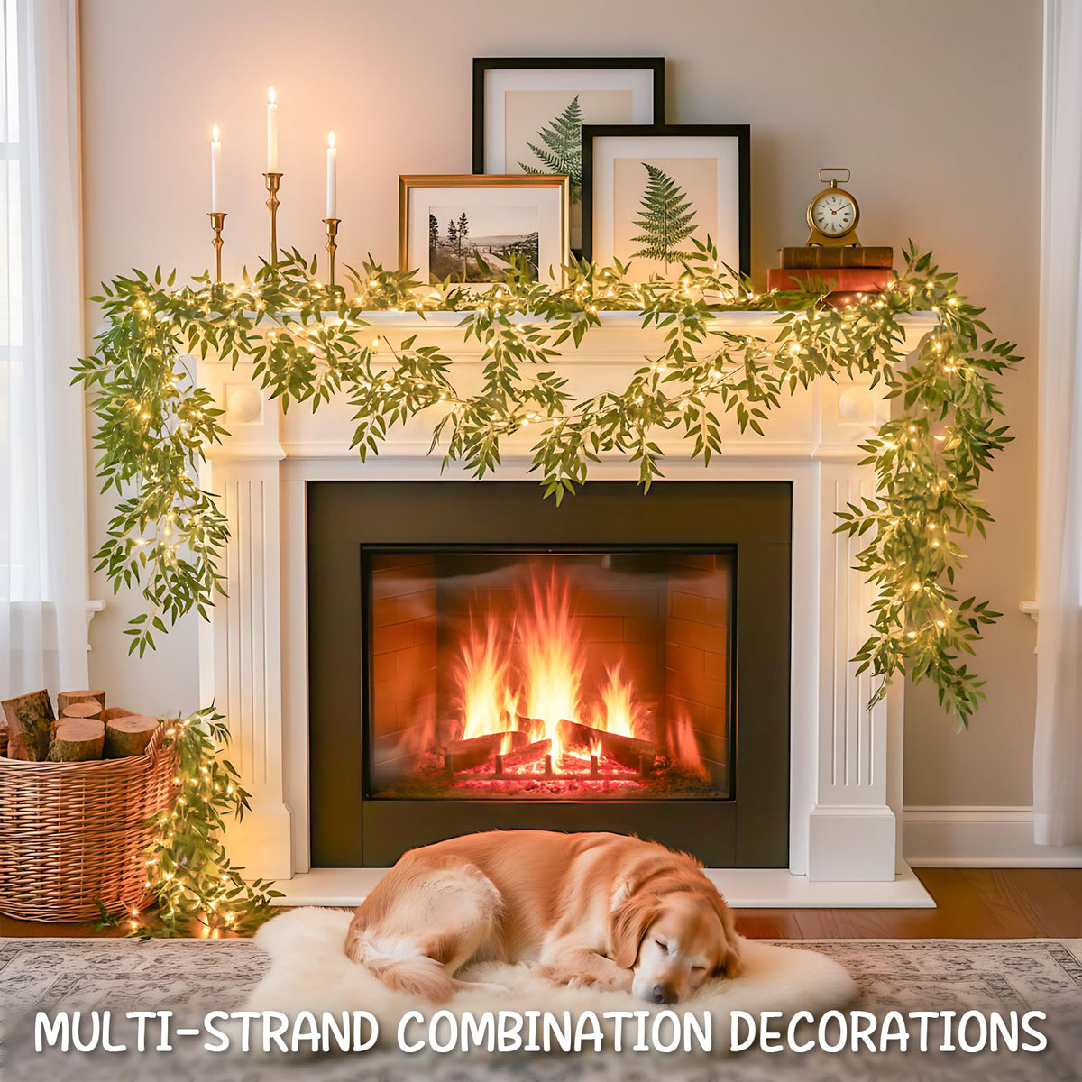 Suddus Portable enchanted lights perfect for parties and displays