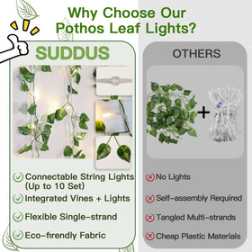 Suddus bedroom decor vine creates cozy ambience with warm white glow