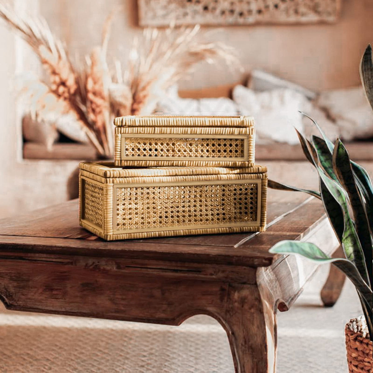SUJUN handwoven display box highlights intricate weaving and sturdy frame.