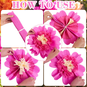 SUNBEAUTY petal details show 12-inch blooms for impact.