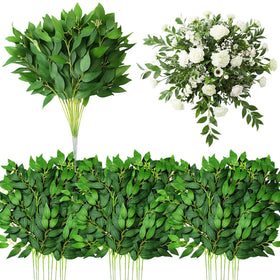 Suncalla Italian Ruscus stems bulk for versatile DIY decor