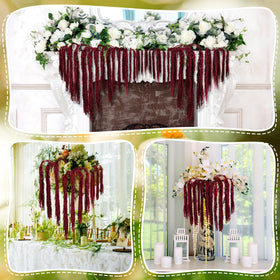 Suncalla red amaranthus stems offer long-lasting color in arrangements.