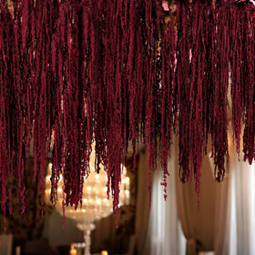 Suncalla 60 cm amaranthus hanging flowers elevate walls and shelves.