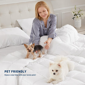 Sunflower comforter queen machine-washable design simplifies weekly care