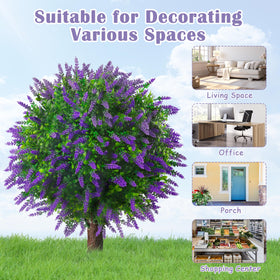 Sunnyglade lavender topiary foliage closeup shows vibrant color and natural vibe for any space indoors or outdoors