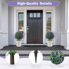 Sunnyglade lavender topiary outdoor weather-ready for year-round ambiance
