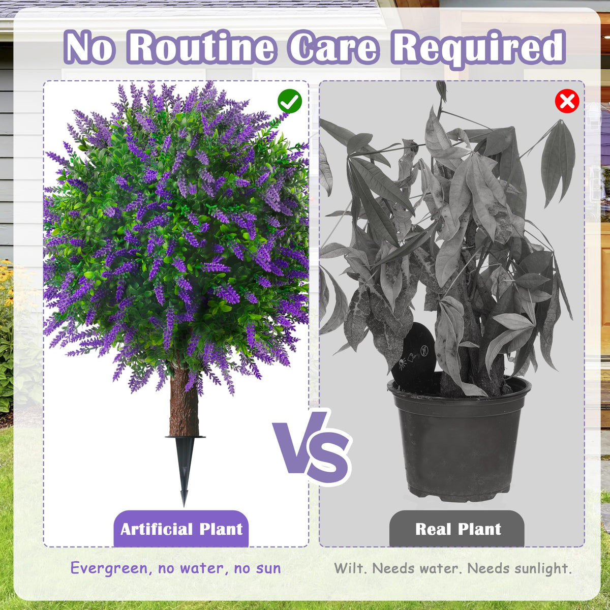 Sunnyglade lavender topiary packaging set ensures neat, shareable decor