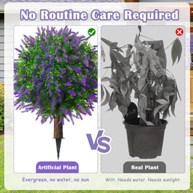 Sunnyglade lavender topiary packaging set ensures neat, shareable decor