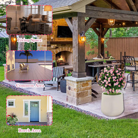 Sunnyglade pink-flowered boxwood topiaries for porch or patio decor