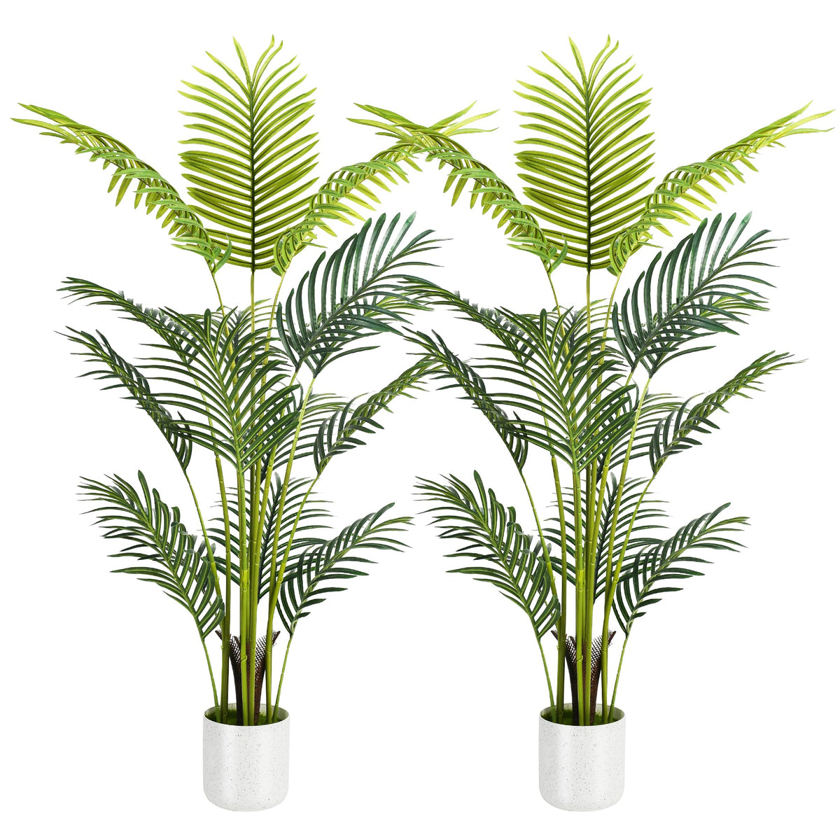 Suntee palm with white planter suitable for indoor use and sheltered outdoor spaces.