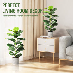 Suntee sturdy concrete pots keep floor plants stable in any room.