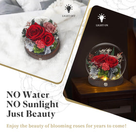 SUOSIHUALI gift box-ready presentation and blank card included