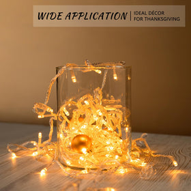 SUPMIND versatile glass vase for homes, restaurants, and events decor.