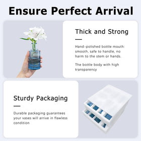 SUPMIND gift-ready vintage glass vases for celebrations.